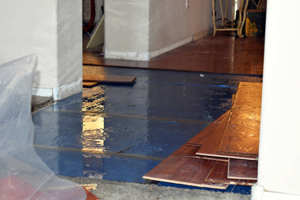 Professional Basement Flood Cleanup technician working in Rock City Falls, NY